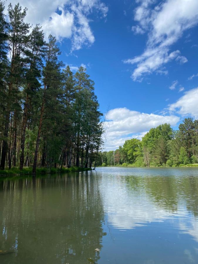 Forest And Lake Borowoje Zewnętrze zdjęcie