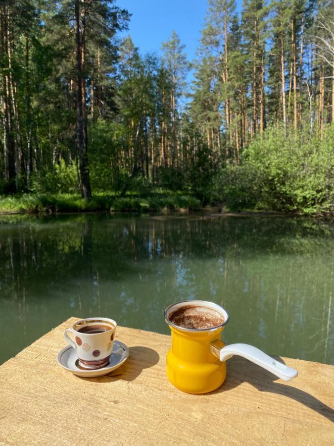 Forest And Lake Borowoje Zewnętrze zdjęcie