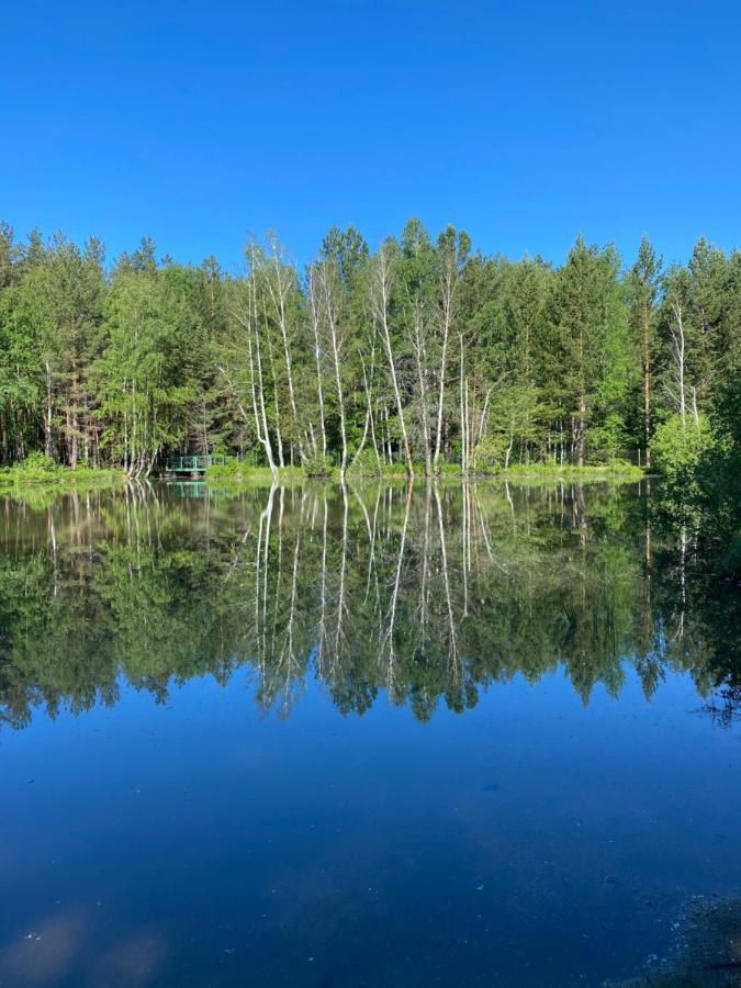 Forest And Lake Borowoje Zewnętrze zdjęcie