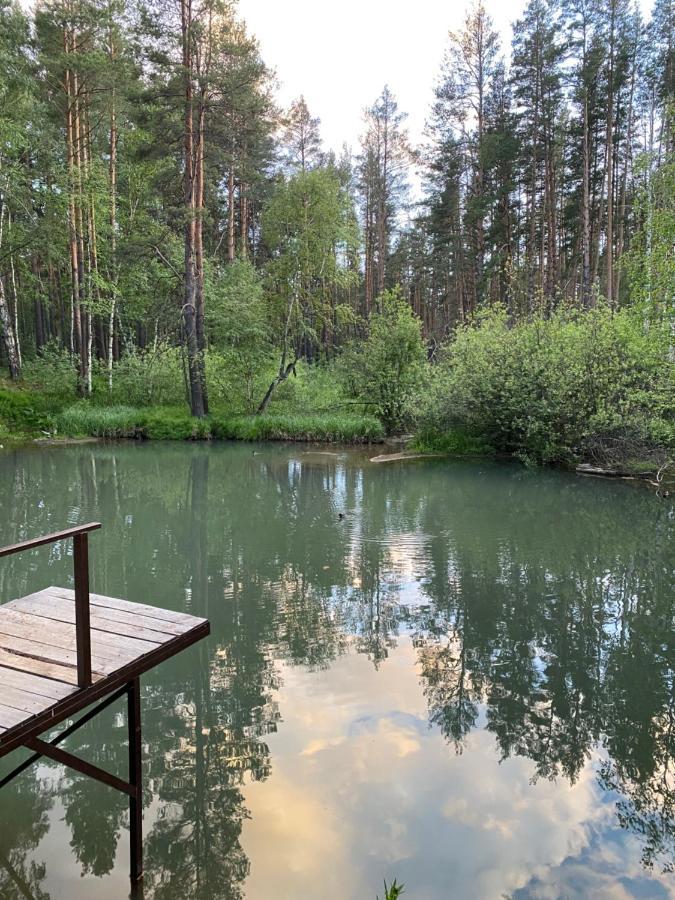 Forest And Lake Borowoje Zewnętrze zdjęcie